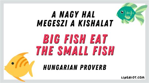 85+ Hungarian Quotes, Sayings & Proverbs + Their Meanings - Lingalot