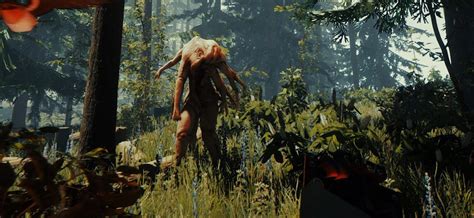 The Forest Developer Mode Ps4 - The Best Developer Images