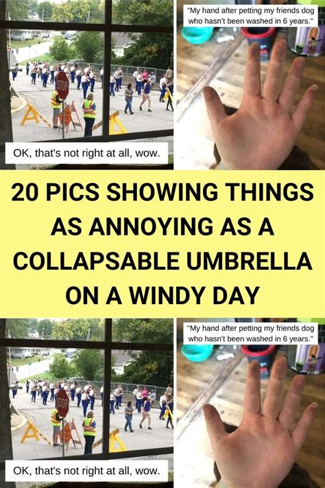 20 Pics Showing Things As Annoying As A Collapsable Umbrella On A Windy ...