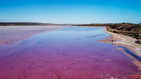 Hutt Lagoon Pink Lake — Scenic Flight Booker