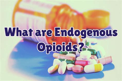 Information on Endogenous Opioids