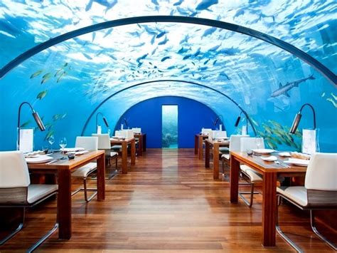 5 Underwater Restaurants In Maldives You Can’t Miss