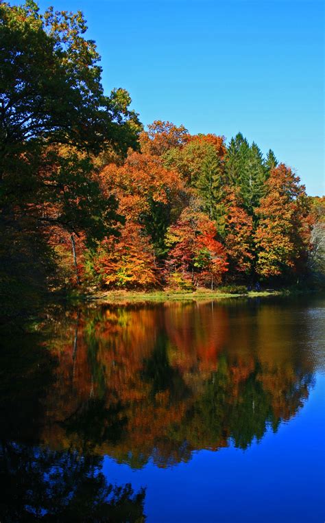 Brown County Fall | State parks, Scenery, Brown county