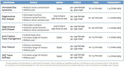 Saunders Home Lumbar Traction System | Vitality Depot