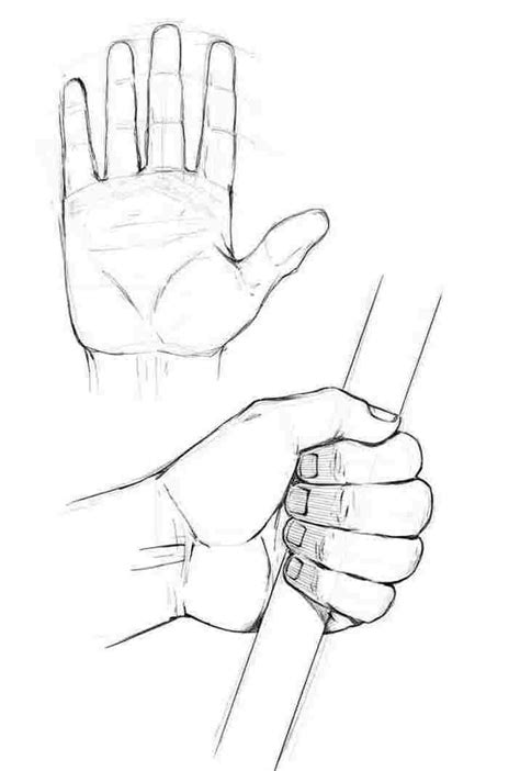 Hand holding a stick Drawing Reference and Sketches for Artists