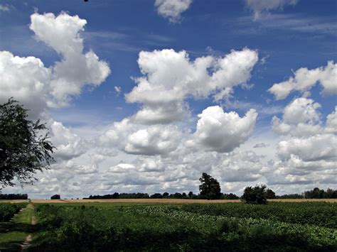 Cumulus | Polscy Łowcy Burz – Skywarn Polska