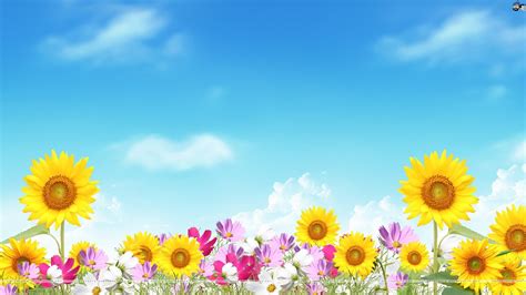 Pretty flowers background, Summer wallpaper, Flower background wallpaper