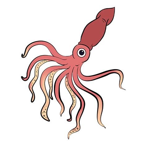 Squid Coloring Page Easy Drawing Guides | The Best Porn Website