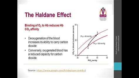 Haldane Effect - YouTube