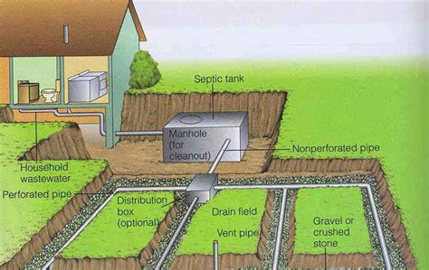 The Importance of the Leach Field - West Coast Sanitation