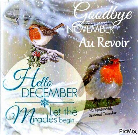 Let The Miracles Begin: Goodbye November, Hello December Pictures, Photos, and Images for ...