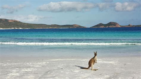 Mindblowing! The Best Beaches in Western Australia