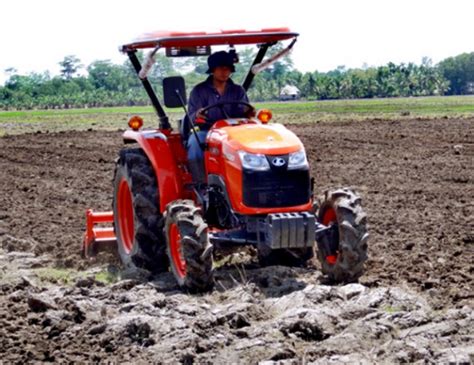 Cara Menanam Padi Yang Baik dan Benar