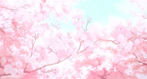 Cherry Blossom Wallpaper Anime Gif 4k Pfp Isagi - IMAGESEE