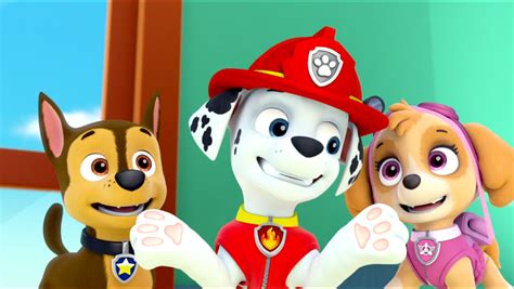 Skye - PAW Patrol - Skye - PAW Patrol Photo (40153988) - Fanpop