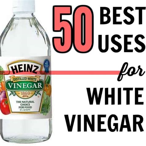 50 Best Uses for White Vinegar