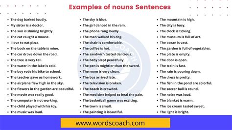 110+ Examples of nouns Sentences in English - Word Coach