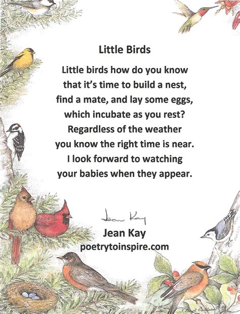 Little Bird Poem | Bird poems, Little birds, Bird quotes