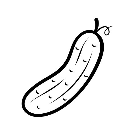 Cucumber. Outline icon of vegetable. Hand drawn sketch doodle style. Isolated vector ...