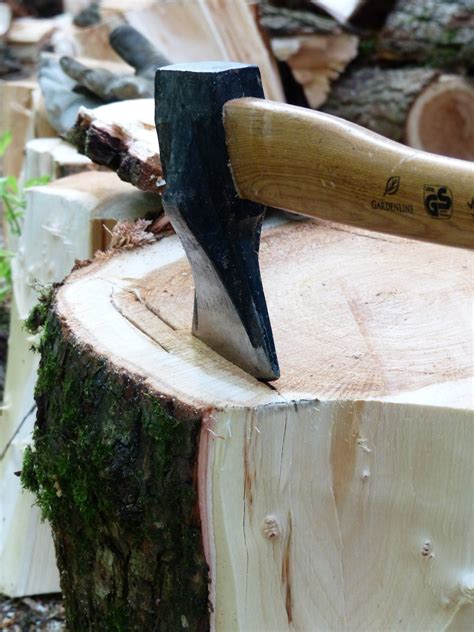 Free Images : driftwood, log, axe, ax, saw, sculpture, art, carving, tree stump, hack, cases ...