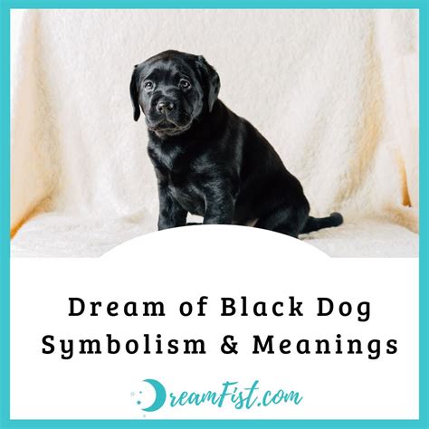 Dream of Black Dog Symbolism & Meanings - DreamFist