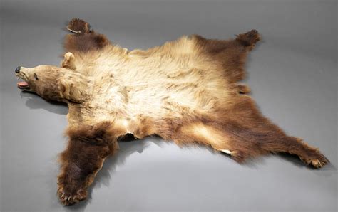 Sold Price: Brown bear pelt with taxidermy head. - January 6, 0120 11:00 AM EST