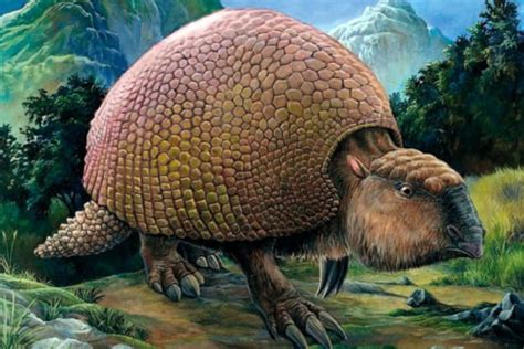 Glyptodon | Amigos de los Dinosaurios y la Paleontología