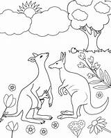 Kangaroo coloring Page 11 sketch template