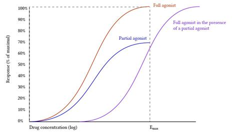 full agonist partial agonist – agonists antagonists and inverse agonists – Lifecoach