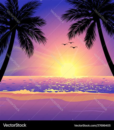 Warm tropical beach sunset with palm trees Vector Image