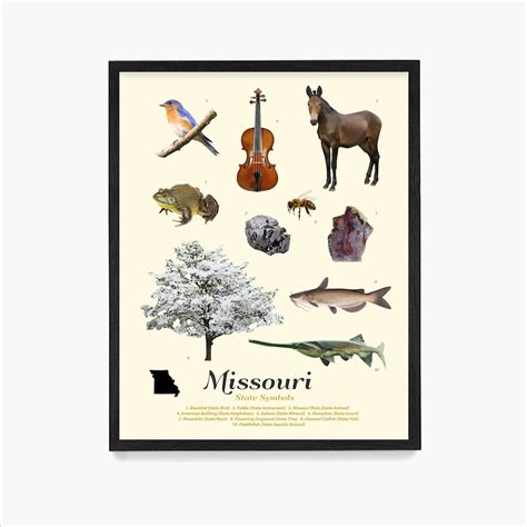 Missouri State Symbols Poster, Missouri Art, Missouri Poster, Missouri ...