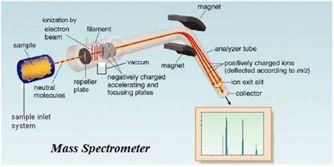 Applications of Mass Spectrometry - QS Study