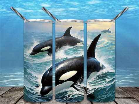 Orca Migration 20oz Skinny Tumbler Sublimation Designs for Straight/tapered Tumbler PNG File ...