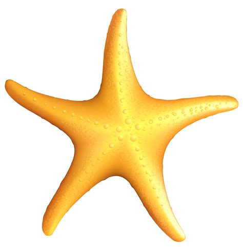 Starfish Clipart - ClipArt Best