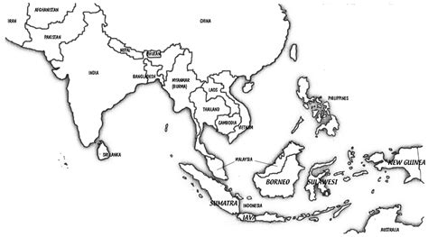 Rainforest profile for the Asian/Indomalayan Realm