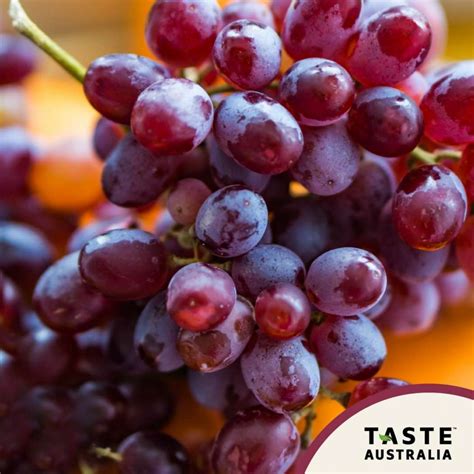 Important Thing You need to learn about Australian Grapes | ASTIG: Philippine News & Reviews