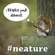 9 Neature walk ideas | hilarious, funny, laugh