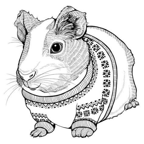 Guinea Pig Coloring Pages - Free Printable Coloring Pages for Kids