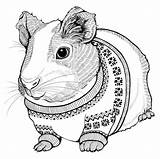 Pretty Guinea Pig Coloring Page  Free Printable Pages For Kids sketch template