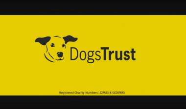 What’s the new Dogs Trust advert song? – TV Advert Songs