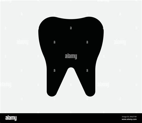 Molar Teeth Icon. Dental Teeth Dentist Care Mouth Oral Enamel Root ...