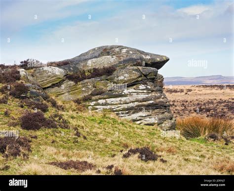 Gritstone rock formation partialy covered by grass and dry brown Stock Photo: 146195360 - Alamy