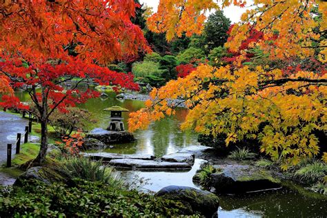 The Seattle Japanese Garden turns 60 with fitting testaments to rebirth and resilience | The ...