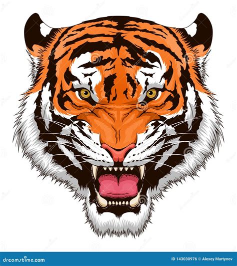 Roaring Tiger Head Cartoon Vector | CartoonDealer.com #70939205