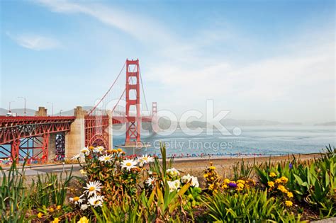 Golden Gate Bridge Views Stock Photo | Royalty-Free | FreeImages