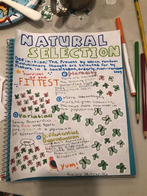 Natural Selection Anchor Chart | Teaching biology, 8th grade science ...