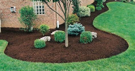 8 great reasons to mulch! - Lush Landshaping