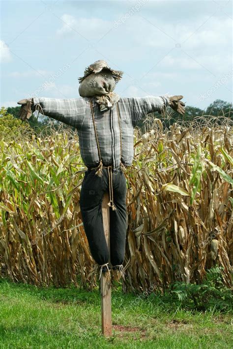 Scarecrow protecting a corn field — Stock Photo © njnightsky #2028182