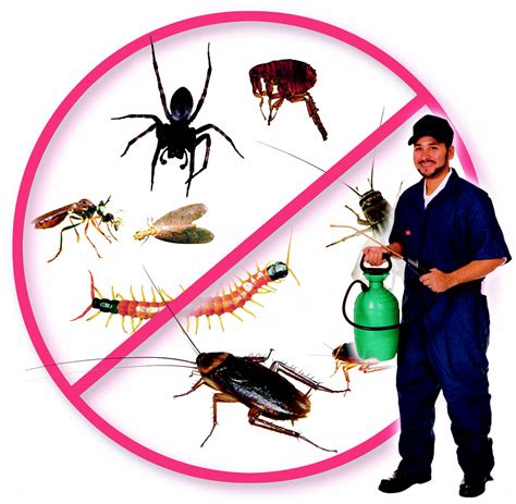 Best Company For Pest Control Service In Bihar, Jharkhand (India) | Cockroach | Anti Termite ...