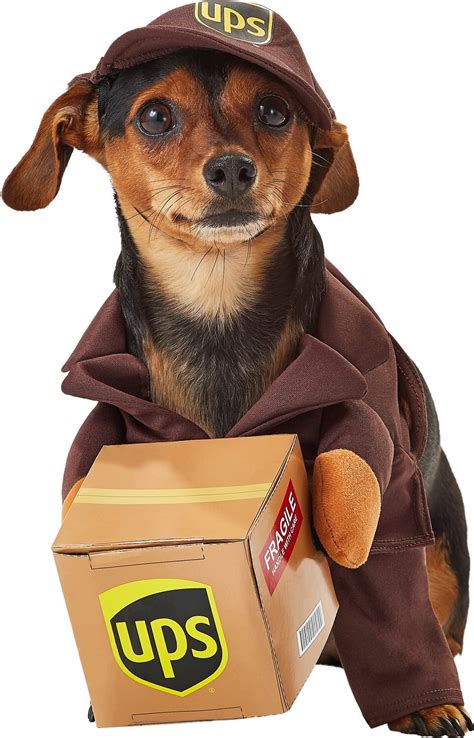 California Costumes UPS Delivery Driver Dog Costume, Small - Chewy.com